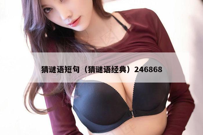 猜谜语短句（猜谜语经典）246868