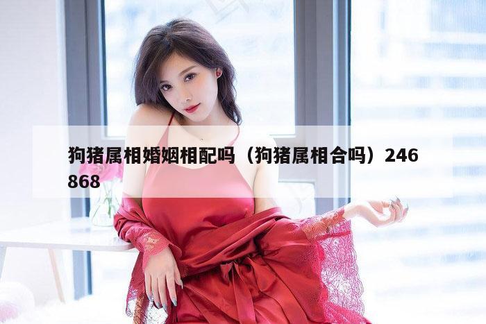 狗猪属相婚姻相配吗（狗猪属相合吗）246868